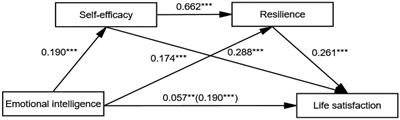 The impact of emotional intelligence on life satisfaction among Chinese nurses: A chain mediating model